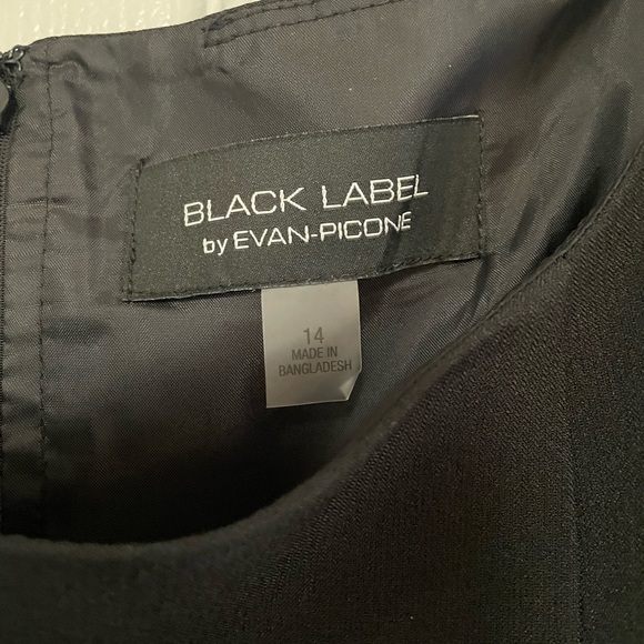 Black Label by Evan-Picone Sleeveless Fit & Flare Dress- Size 14 - Picture 8 of 10